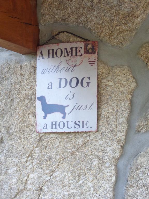 Bernardes House Guest House Castelo de Paiva Ngoại thất bức ảnh