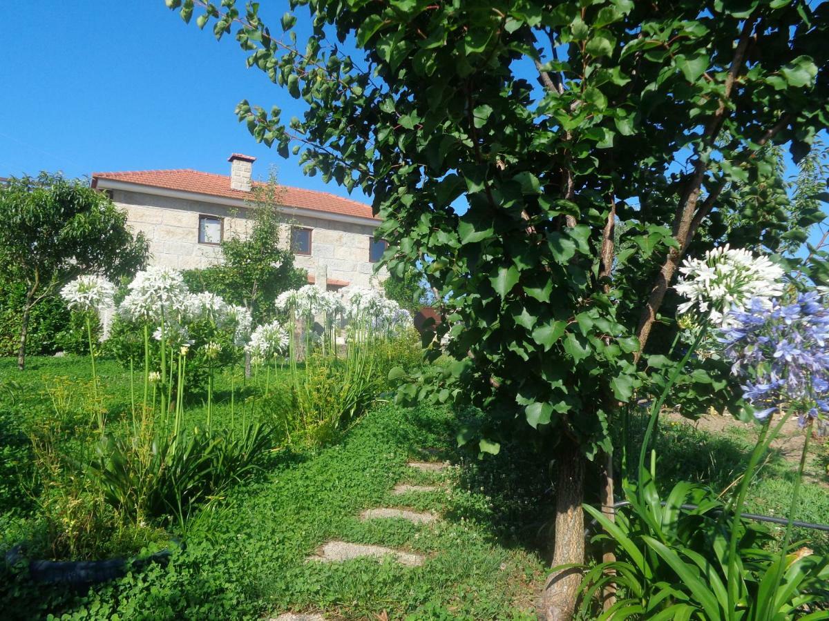Bernardes House Guest House Castelo de Paiva Ngoại thất bức ảnh
