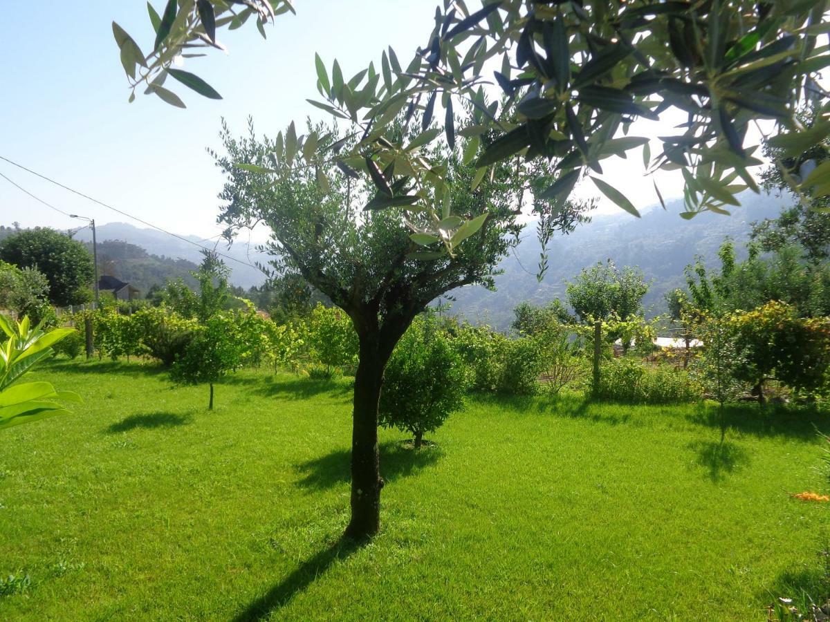Bernardes House Guest House Castelo de Paiva Ngoại thất bức ảnh
